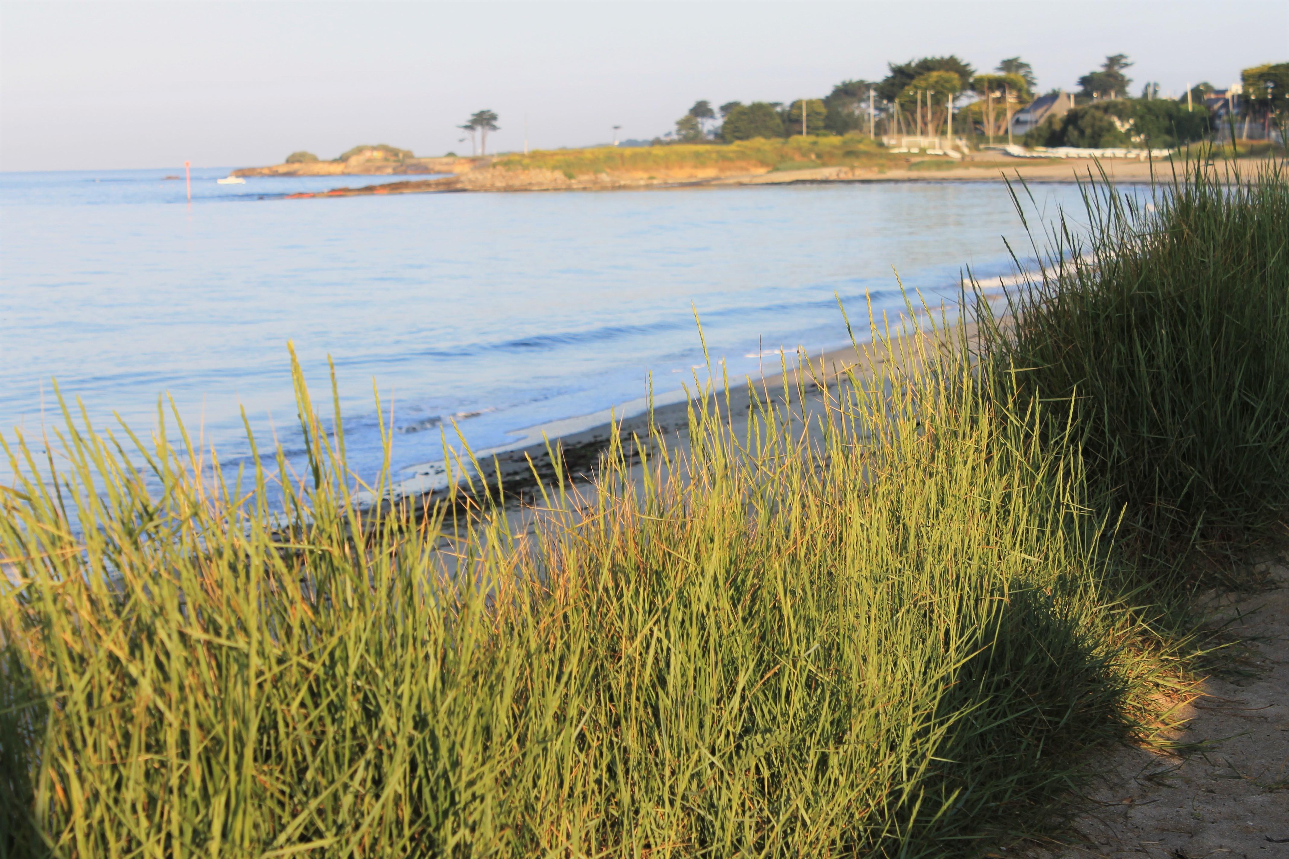 Logis Hotel & Restaurant Les Mouettes - Larmor Plage, Proche De Lorient Exteriör bild