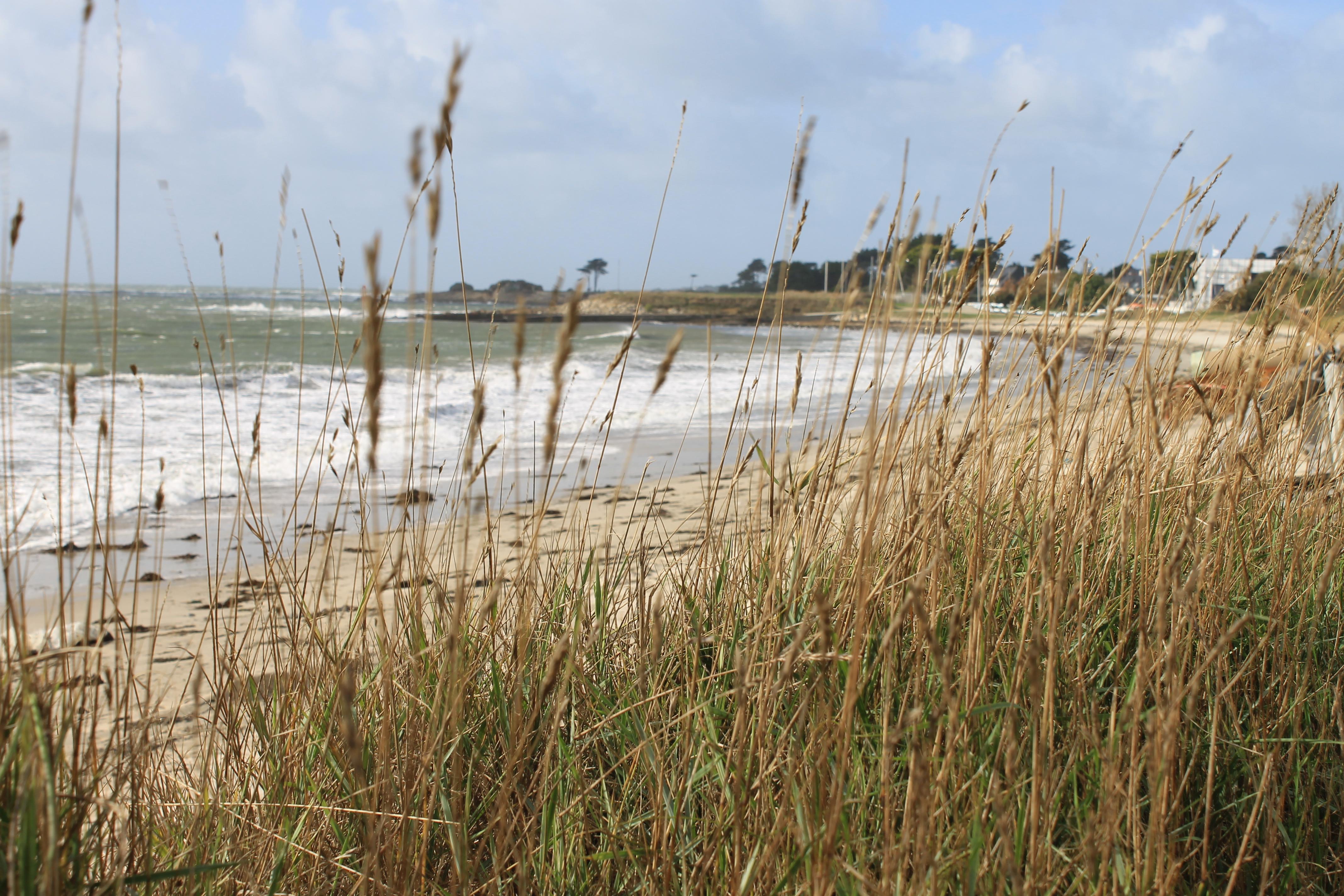 Logis Hotel & Restaurant Les Mouettes - Larmor Plage, Proche De Lorient Exteriör bild